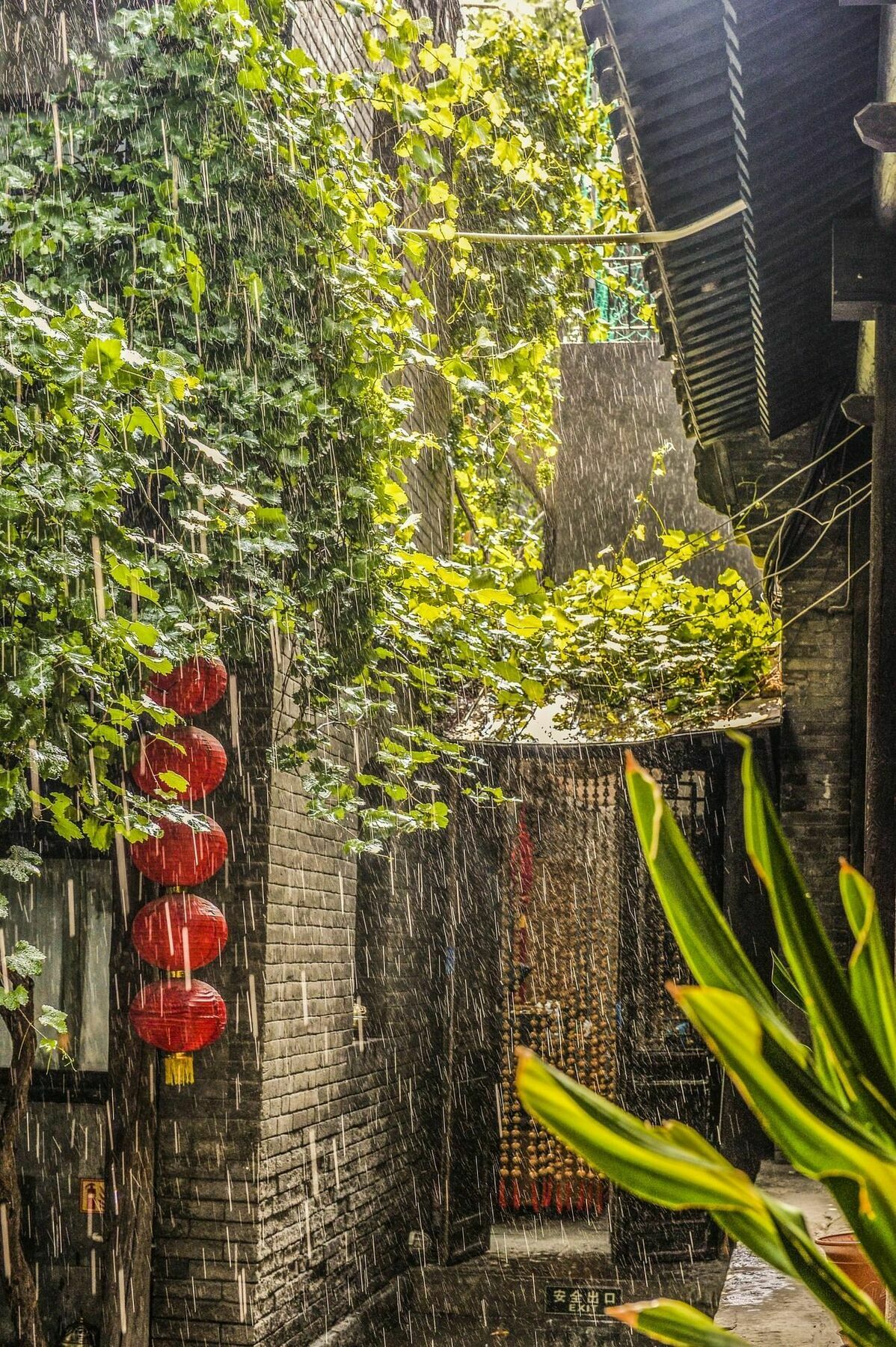 Hill Lily Courtyard Hotel Peking  Buitenkant foto